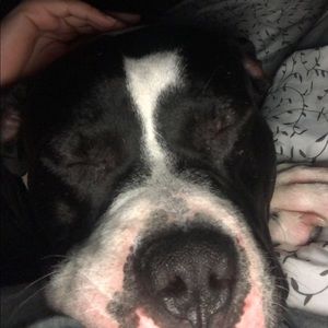 Meet your Posher, Vanessa